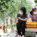 푸르메농장 이미지