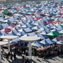 모란시장 이미지