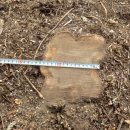 은평-032 이미지