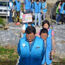 중앙동239 이미지