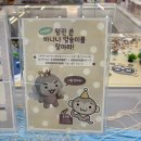 서면 놀거리 추천 데코보코 팝업 메이드바이 서면 후기