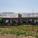 광성팬션