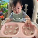 감만어린이집 | 둘째 유아식 스타트