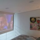 숲속의 하얀별 이미지