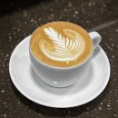 라떼아트 티스토리