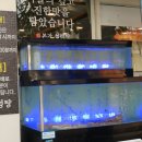 완월동221 이미지