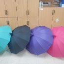 2021.10.17(주일) 제9회 본당의 날 기념 우산 배부 이미지
