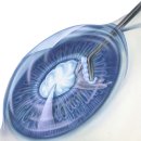 올라안과의원 이미지