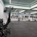 크로스핏 아일린 이미지