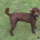 멍is뭔들 이미지