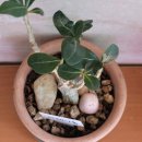 [컬러온 배움터] 내 손으로 만드는 도자기 공예 이미지