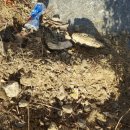 서울공진초등학교병설유치원 이미지