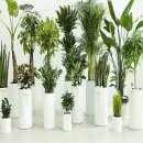 정화슈퍼 이미지