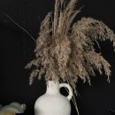 화사 플라워 스튜디오 이미지