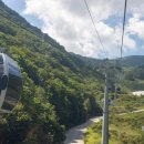 정선 가리왕산 케이블카 이미지