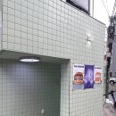 비디버거강남 이미지
