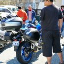 라오니아 이미지