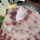 정정수산 | 방어철 필수 코스! 평택 방어 맛집 4곳 비교 내돈내산 후기/스키다시 잘 나오는 평택 횟집 방어 맛집...