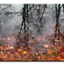 Autumn, Raindrops and Reflection of Riverside 이미지