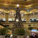 2016 아시아이야기축제 | 🇲🇴 DAY2(2) | 다사다난한 마카오에서의 하루 마무리