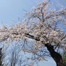 강동대로 이미지