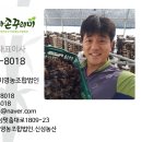 상배농장 네이버블로그