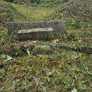 무주장의사 이미지