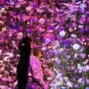 월하초당 이미지