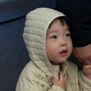 주현분식 | 갈 길이 멀다 시월