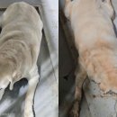 울진동물병원 이미지