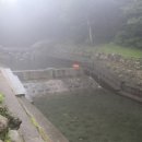 서귀포자연휴양림3 이미지