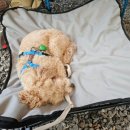 남원로534번길 이미지