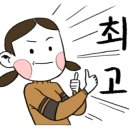 HMC펫케어 이미지