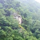 금봉산업 | 상주여행 성주군 가천면 중산리의 학유실