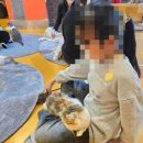 청춘 고양이 카페 | 아이들과 홍대고양이카페 '청춘고양이카페' 방문 후기