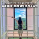 한국차문화공원 관광안내소 | 꿀팁!! 16, 17기 연임자 + 최우수 활동자가 알려주는 한국관광공사 대학생 기자단 지원 꿀팁 &amp; 활동 후기