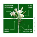 메디아트의원 이미지