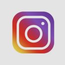 파파레브 이미지