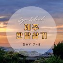 씨유제주인화점 | 제주도 한달살기 7~8일차 : 임제, 협재해수욕장, 호텔샌드, 혼술바