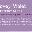 포토앤데코