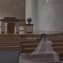 강구성결교회앞 | 대연성결교회 교회스냅추천 아이폰스냅추천 일레이션스냅