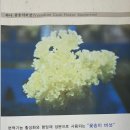 이현숙농장 이미지