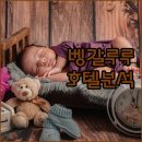 바그 관광호텔 | 인도 벵갈루루 호텔 완벽 분석 가격, 위치, 서비스 총정리