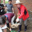 홍문표농장 이미지