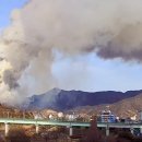 안태초등학교 이미지