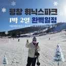 겨울여행지추천 평창 휘닉스 파크 스키장 1박 2일 완벽 일정