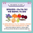 호박약국 이미지