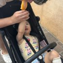 마귀할멈 지팡이 아이스크림 | 두돌아기와 3박4일 도쿄여행 후기 -2