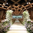 파티오-25 이미지