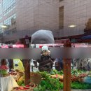 아랑조아 | 잭킹콩은 정말 왜 그러는 걸까요 | JKC NEW YEAR 대전 공연 후기 @그린빈버찌라이브하우스